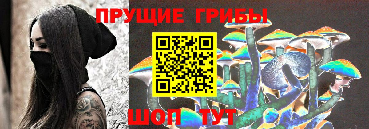 Иркутск  купить наркоту  Галлюциногенные грибы прущие грибы  Вход с VPN  Галлюциногенные грибы мицелий 