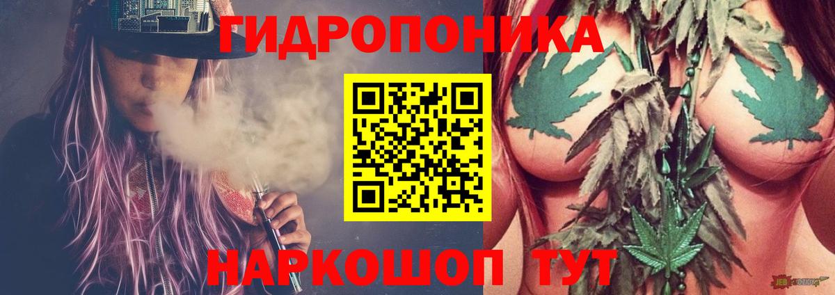 Бошки марихуана SATIVA & INDICA  Марихуана планчик  Вход с VPN  Иркутск  Бошки марихуана AK-47 